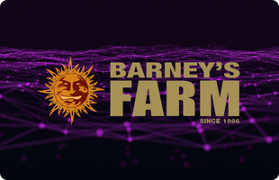 Barney's Farm Category