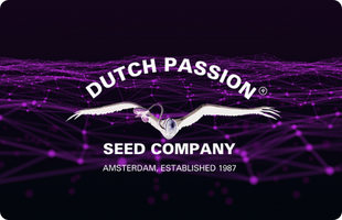 Dutch Passion Category